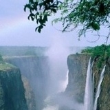 Chichman